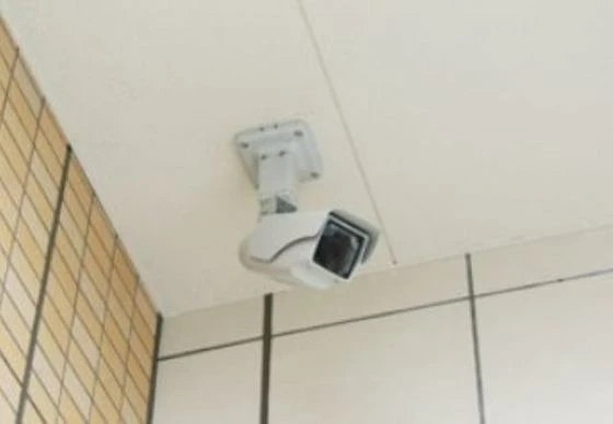 アネシストリア