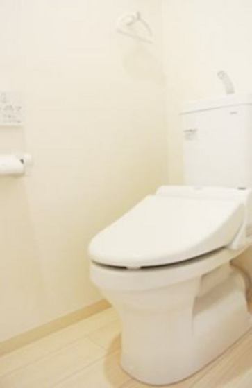 アネシストリア