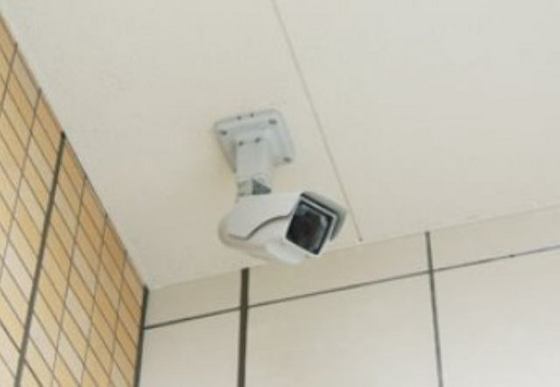 アネシストリア