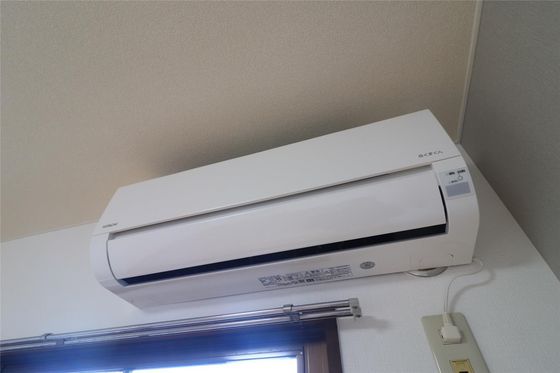 シャンティ青江