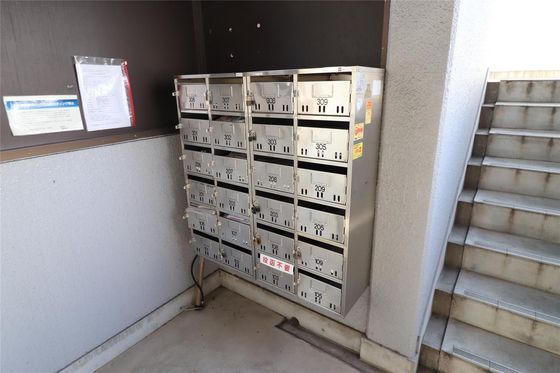 シャンティ青江