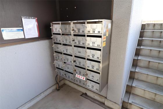 シャンティ青江