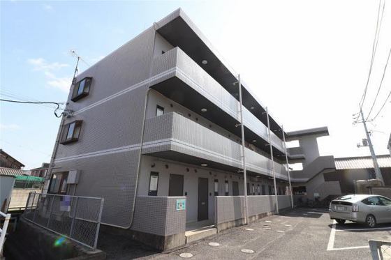 シャンティ青江