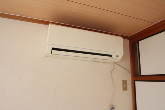 シティハイムカトレア