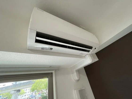 サニーフィールド