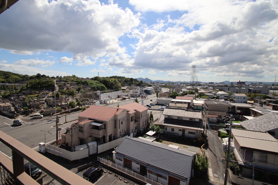 アルファさくら