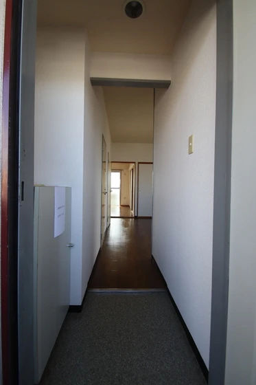 アルファさくら