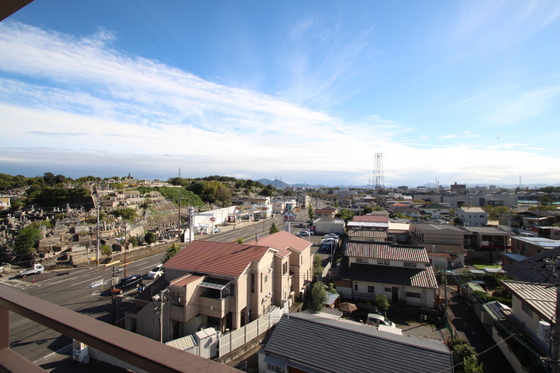 アルファさくら