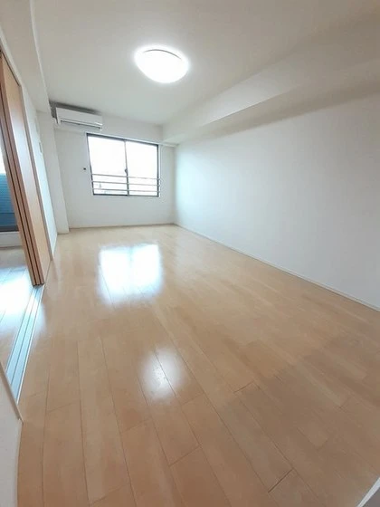 アルカンシエル D