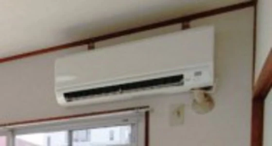 シャンボール冨士