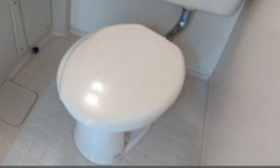 シャンボール冨士