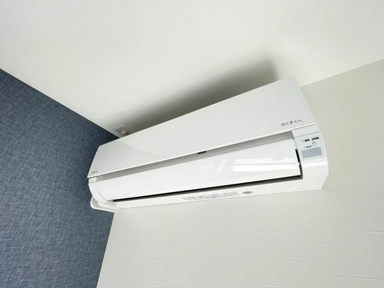 マルベリーフィールド伴東