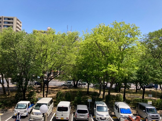 CASSIA河原町平和大通