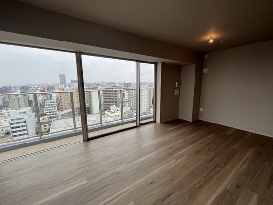 ライオンズタワー岡山千日前