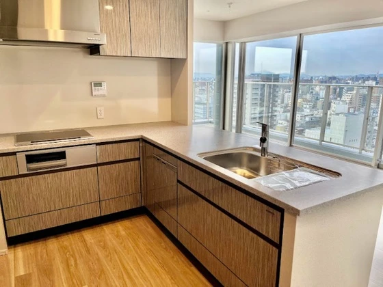 ライオンズタワー岡山千日前