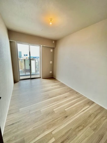 ライオンズタワー岡山千日前