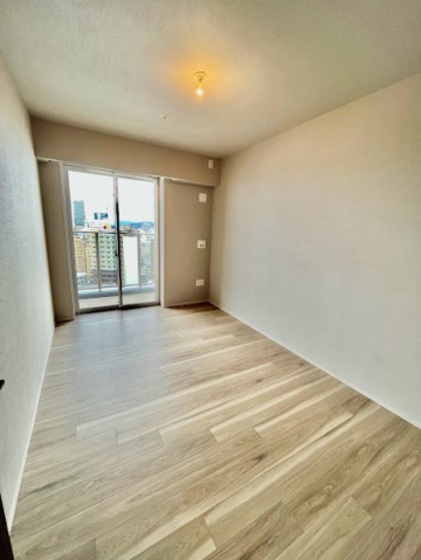 ライオンズタワー岡山千日前