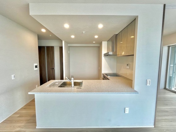 ライオンズタワー岡山千日前