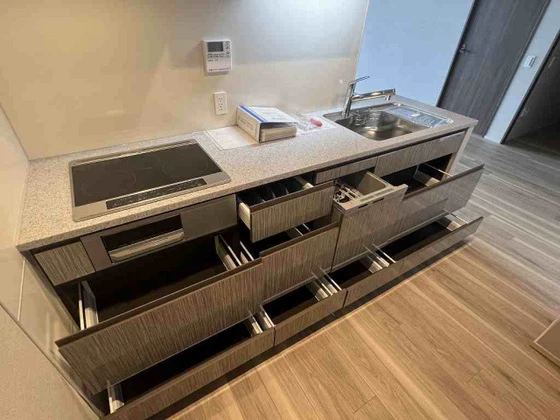 ライオンズタワー岡山千日前