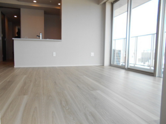 ライオンズタワー岡山千日前