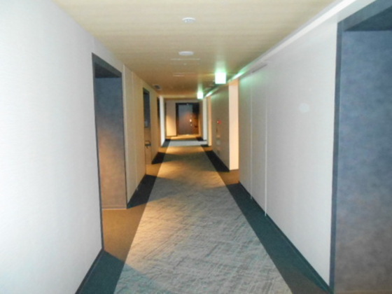 ライオンズタワー岡山千日前