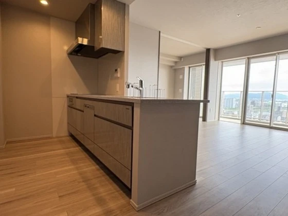 ライオンズタワー岡山千日前