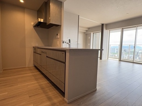 ライオンズタワー岡山千日前