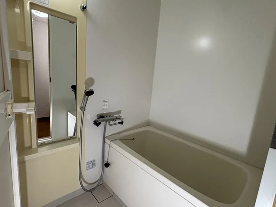 アンタレス豊成