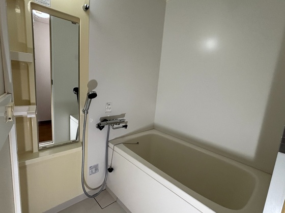 アンタレス豊成