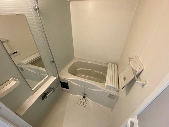 フェイト デラ フォレスタ