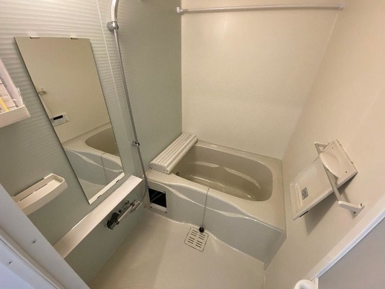 フェイト デラ フォレスタ