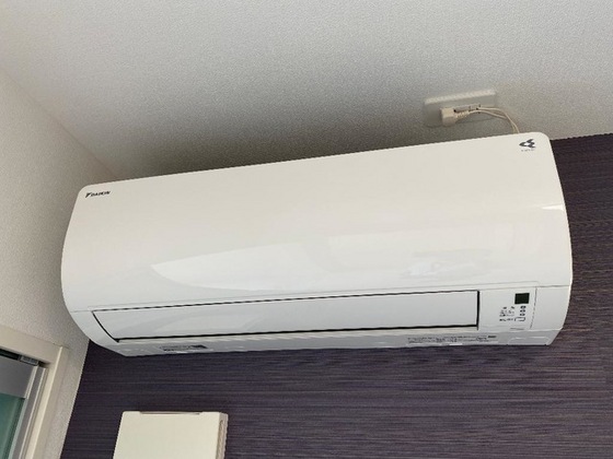 フェイト デラ フォレスタ