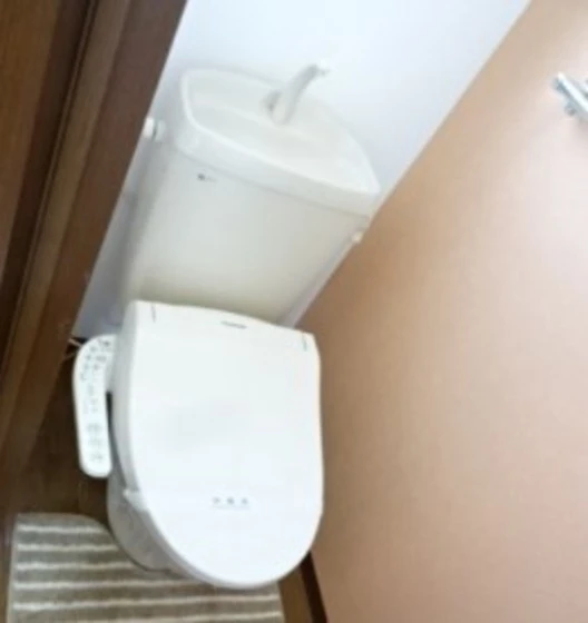 カサデヒラソル