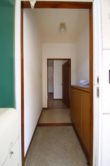 サンフラワー今