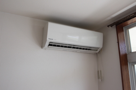 サンフラワー今