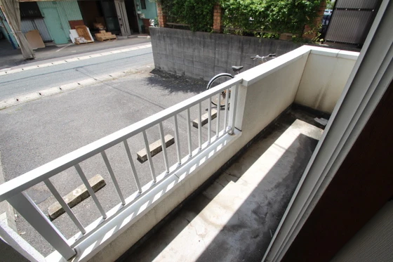 サンフラワー今