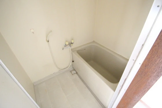 サンフラワー今