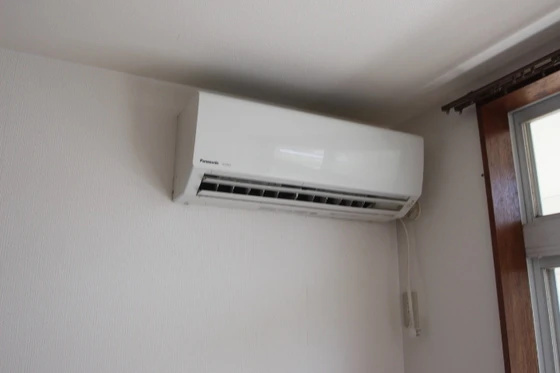 サンフラワー今