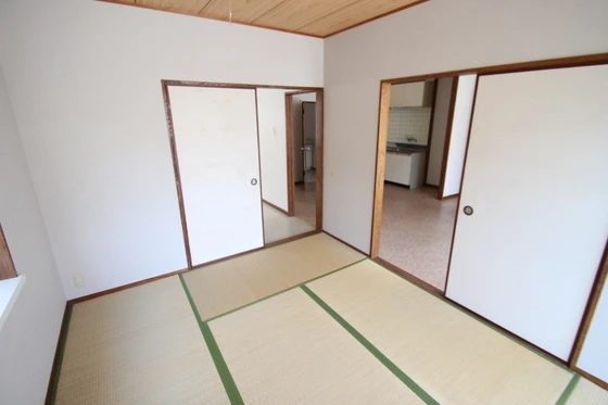 サンフラワー今