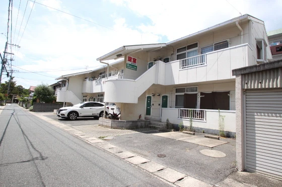 サンフラワー今