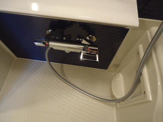 アン・ジュール