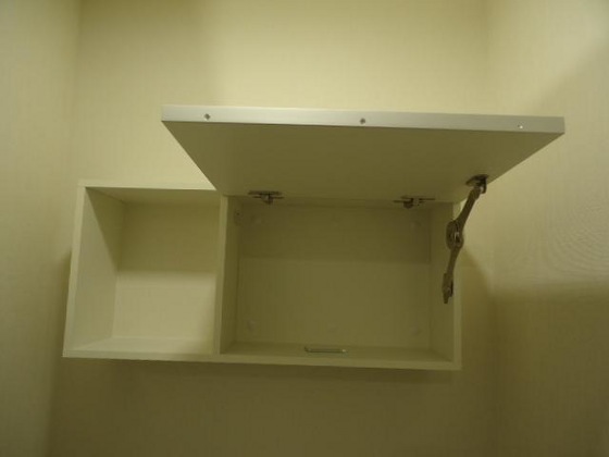 アン・ジュール