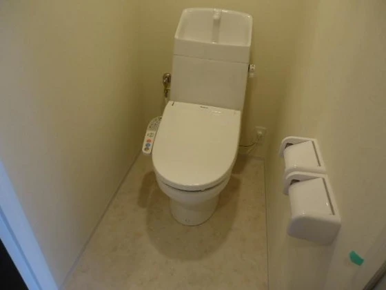 アン・ジュール