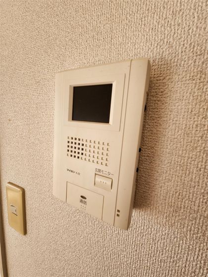 ビラペディメント