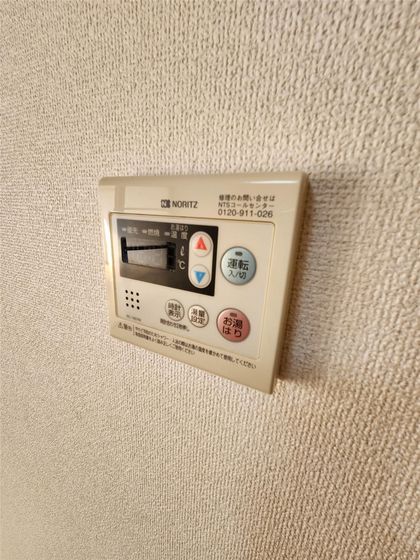 ビラペディメント