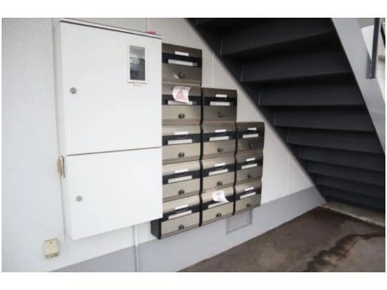 ビューラージュネス