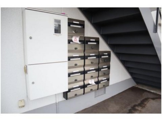 ビューラージュネス