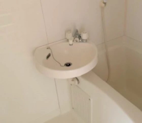 ビューラージュネス