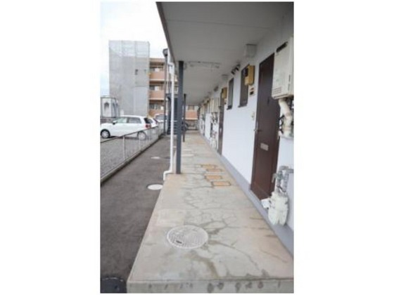 ビューラージュネス