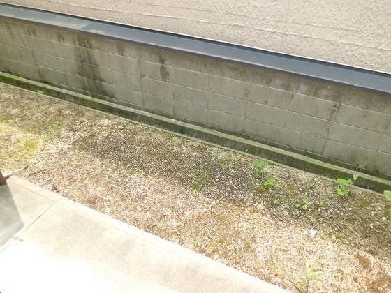 メルヴェーユ浜野 C